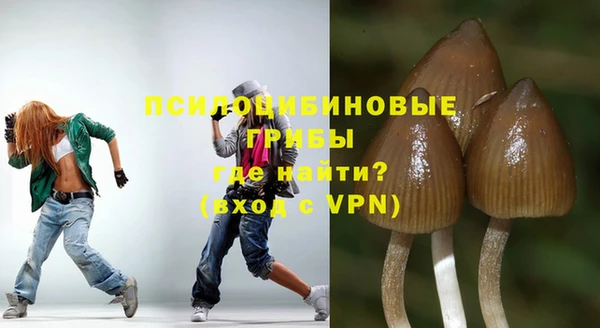 бошки Алексин