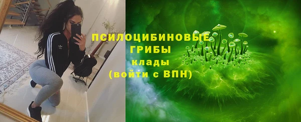 молекула духа Алзамай