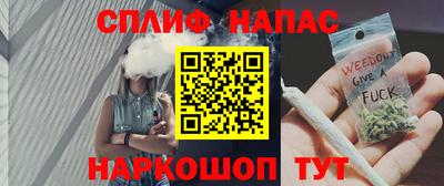 индика Тверь