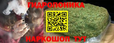 индика Тверь