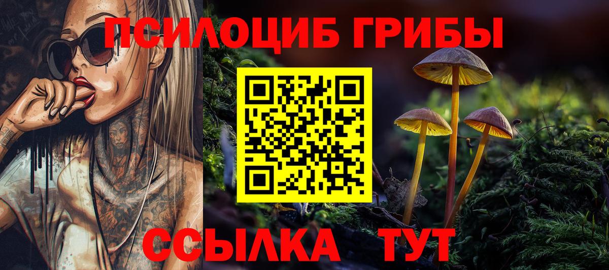 Галлюциногенные грибы Psilocybine cubensis Амурск