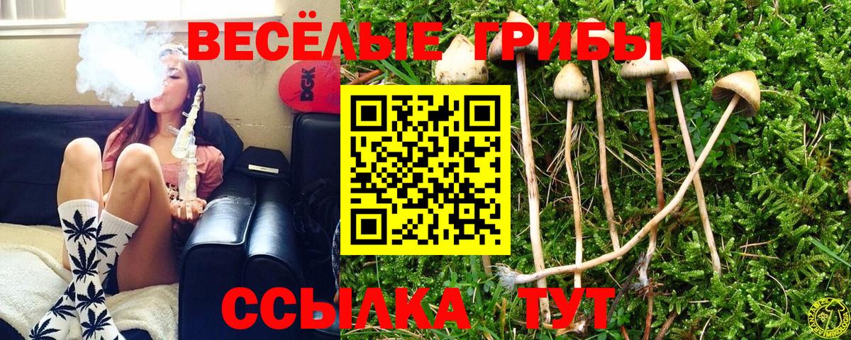 Псилоцибиновые грибы Magic Shrooms  Вход с VPN  Амурск 